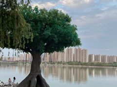 -咸阳湖景区