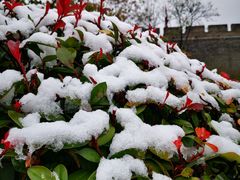 -西安城墙·碑林历史文化景区