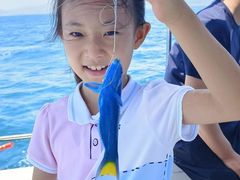 -小猫钓鱼海钓俱乐部(椰梦长廊店)