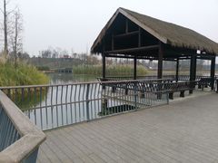 -白鹭湾湿地公园