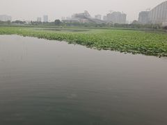 -保定东湖公园(莲池区)