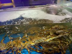 -蟹之国·精品蟹料理(极地店)