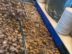 -海天盛宴新派海鲜自助餐厅(群力店)