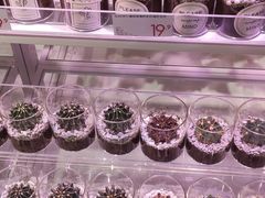 -KKV(东莞海德汇一城店)