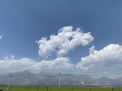 -哈素海