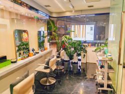 -时尚殿堂salon
