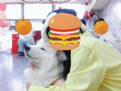 -汪说·狗咖·拼豆·宠物周边DIY(旺城大厦店)