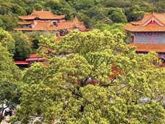 -东莞观音山旅游风景区