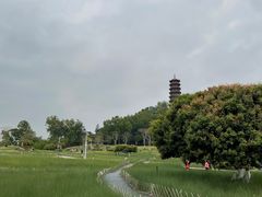 -红花山公园