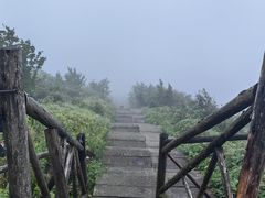 -武陵山森林公园