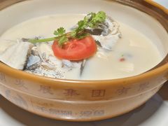 -全乐鱼馆·淳牌有机鱼直营店