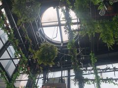 -聚缘·湘味音乐餐厅party(罗湖店)