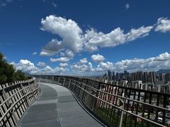 -福道