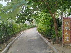 -太阳宫公园