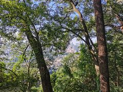 -南山植物园