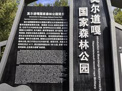 -莫尔道嘎国家森林公园