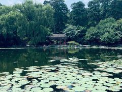 -香山公园