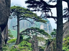 -黄山风景区