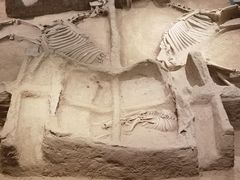 -洛阳周王城天子驾六博物馆