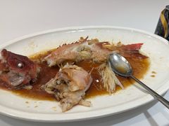 清蒸东星斑-海逸海鲜酒家(古北店)