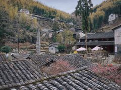 -MOJ coffee(瓯海泽雅水碓坑店)