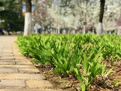 -济南植物园