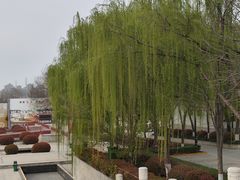 -西安汉城湖景区