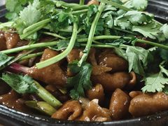 -石岐乳鸽村(桥观坊南四巷店)