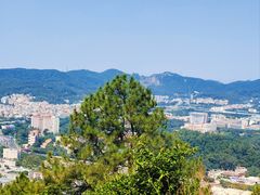 -火炉山森林公园