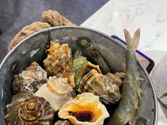 海螺-半岛听涛蒸汽海鲜自助(K11店)