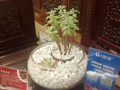 -鲁班张中原家宴(马庄街店)
