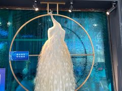 -雀舞云南菜(乐客城店)