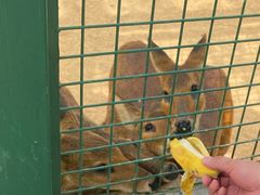 -泉州海丝野生动物世界