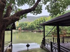 -宝岩生态观光园