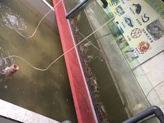 -乡乐园蟹庄·阳澄湖农家乐