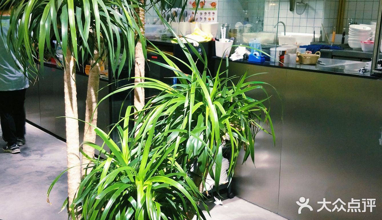 不出国门感受东南亚