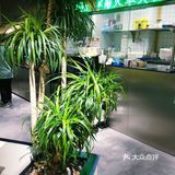 不出国门感受东南亚