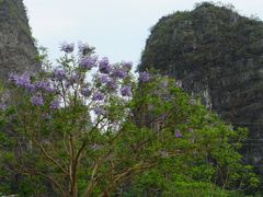 -钟山水墨田园