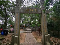 -上海佘山国家森林公园天马山园