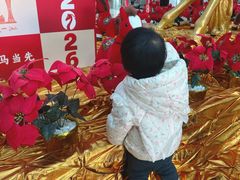 -宁波海天一洲景区