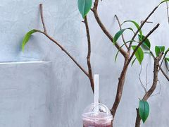 -PINTEA LAB(北京路店)