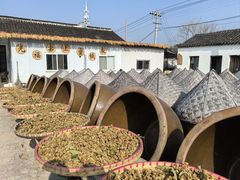 -苏州市吴中区光福窑上花果蜜饯厂