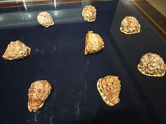 -青岛贝壳博物馆