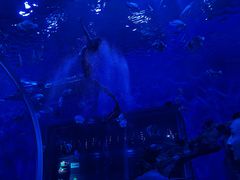 -石家庄极地海洋世界