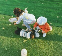 -萌宠亲子动物乐园(槐房万达店)