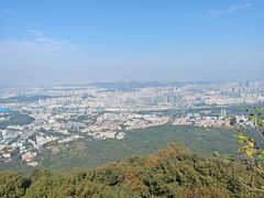 -紫金山山顶公园