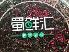 -二荆条·蜀鲜汇城市森林火锅