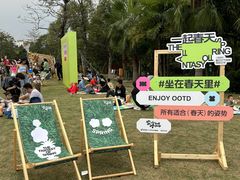 -凤岭儿童公园