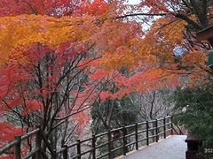 -崂山九水游览区