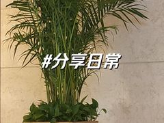 -北京国宾酒店